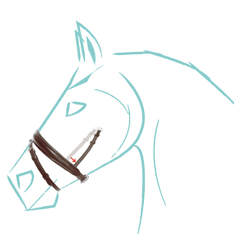 Kavalcade Cre8 KavalSH4 Noseband