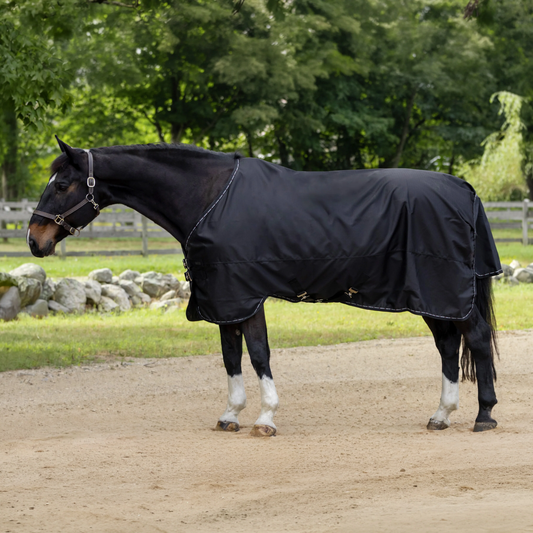 Horze Cairo Infrared Therapy Turnout Sheet