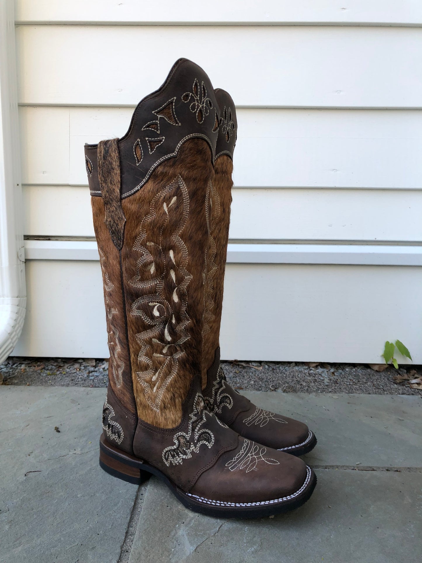 Lacy Boots Frost Style Tall Buckaroo in Dark Brindle