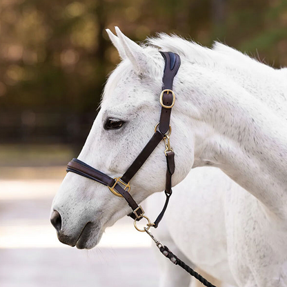 Padded Leather Ergonomic Halter