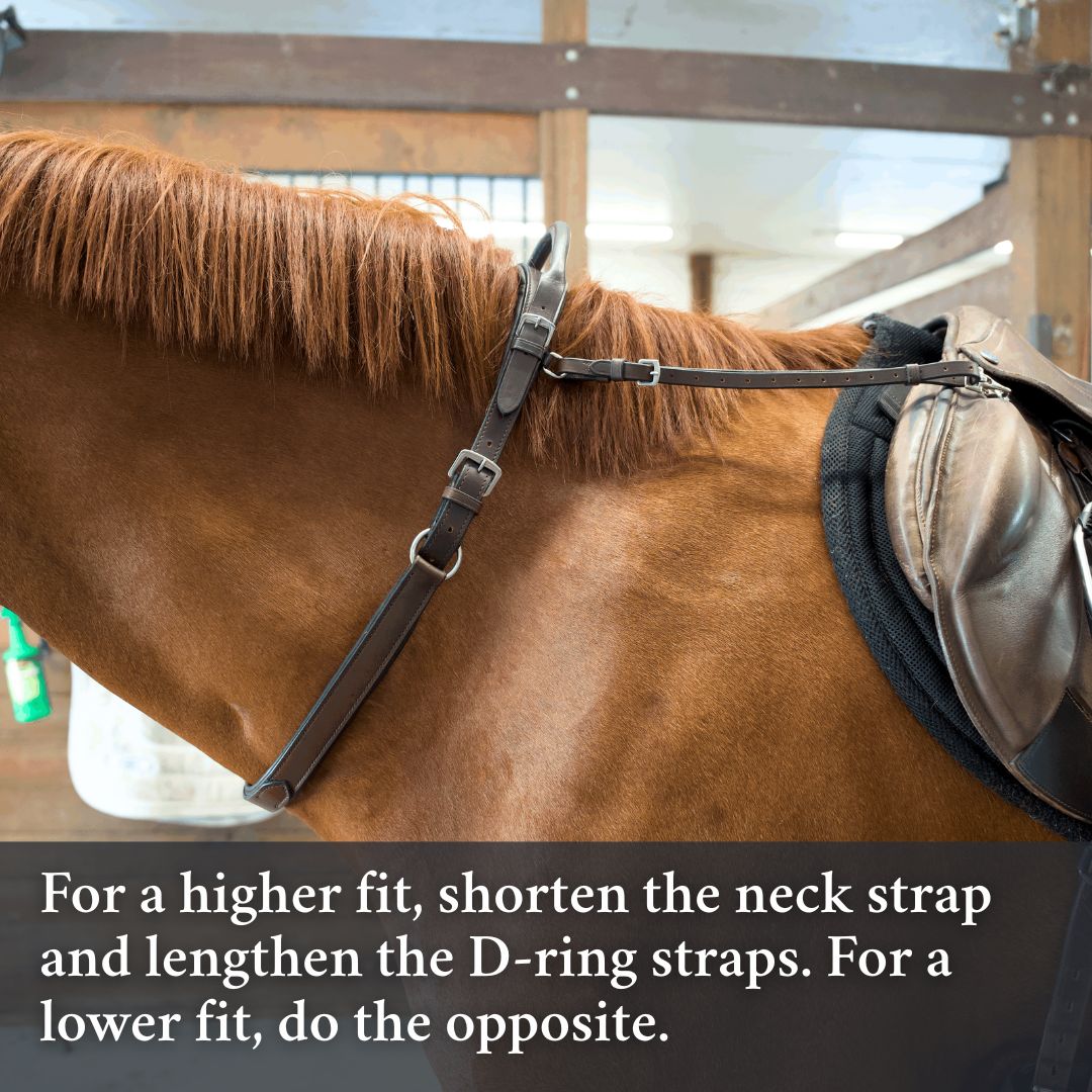 Correct Connect Double Neck Strap