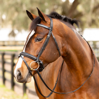 Saga Dressage Crank Noseband Bridle & Reins - Black