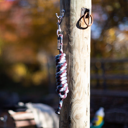 Stella Poly Snap Lead Rope - Stripes