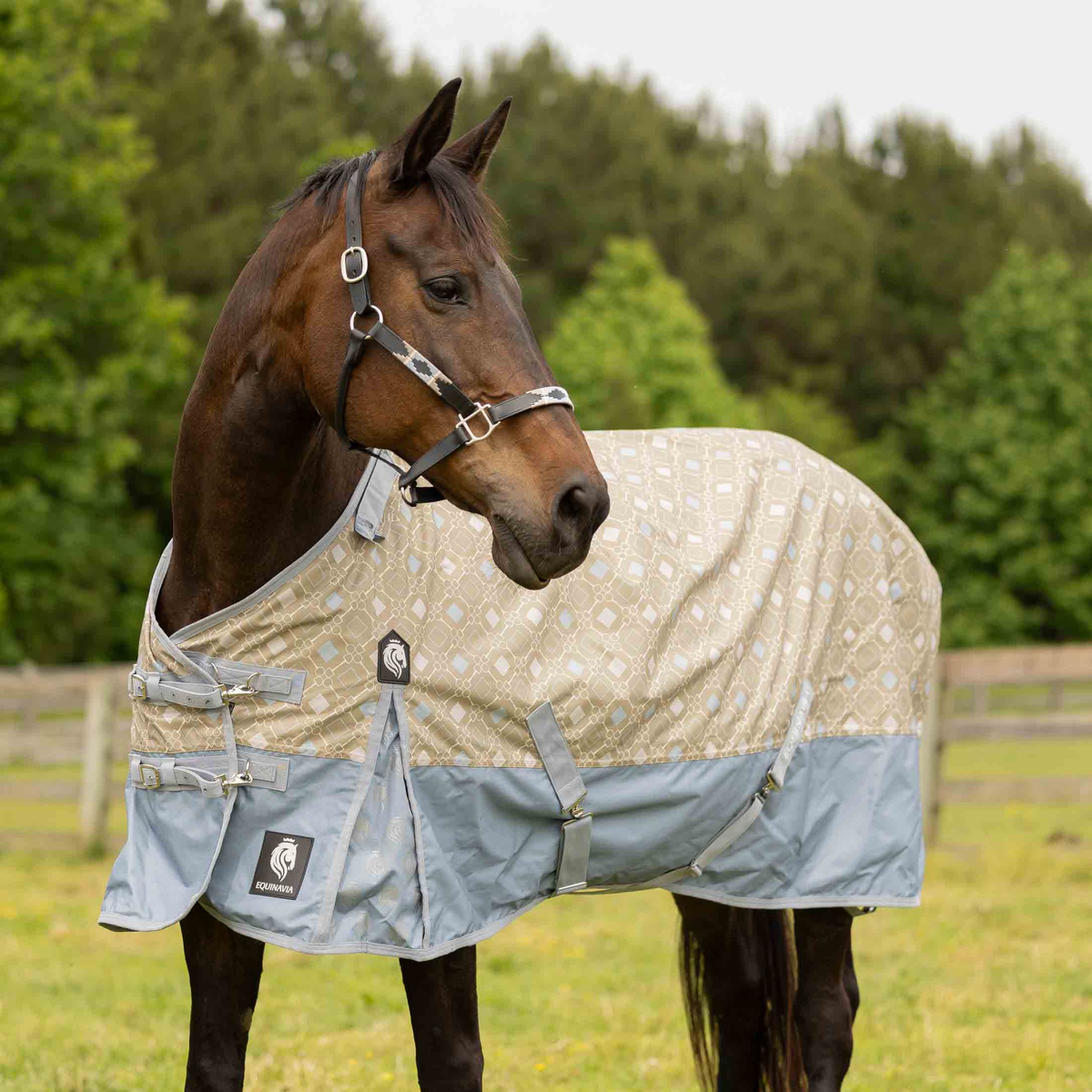 Equinavia Norse Turnout Sheet ('26)