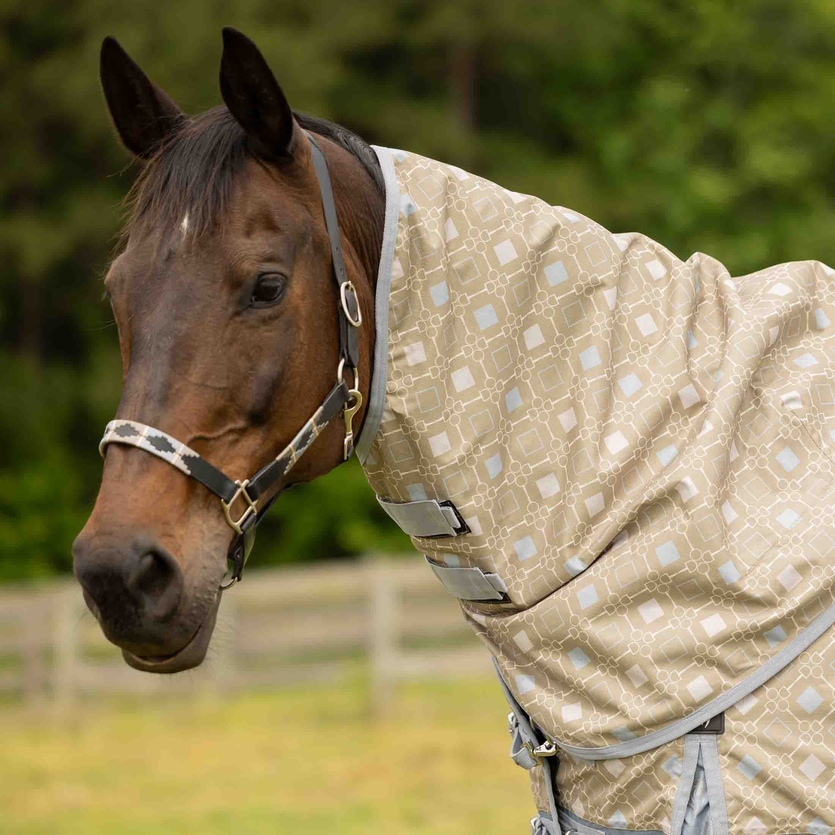 Equinavia Norse Turnout Neck Cover ('26)