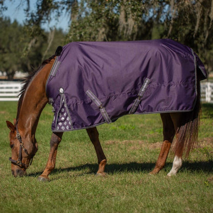 Norse Turnout Blanket (100g/200g/300g)