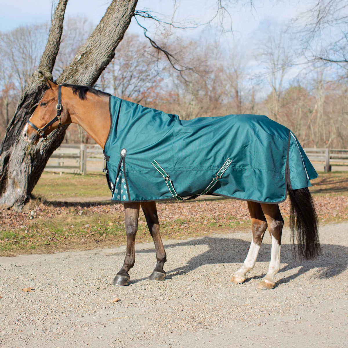 Equinavia Arktis Extended Neck Turnout Blanket - Deep Green