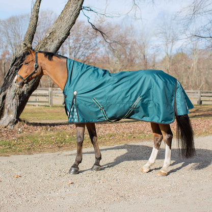 Equinavia Arktis Extended Neck Turnout Blanket - Deep Green