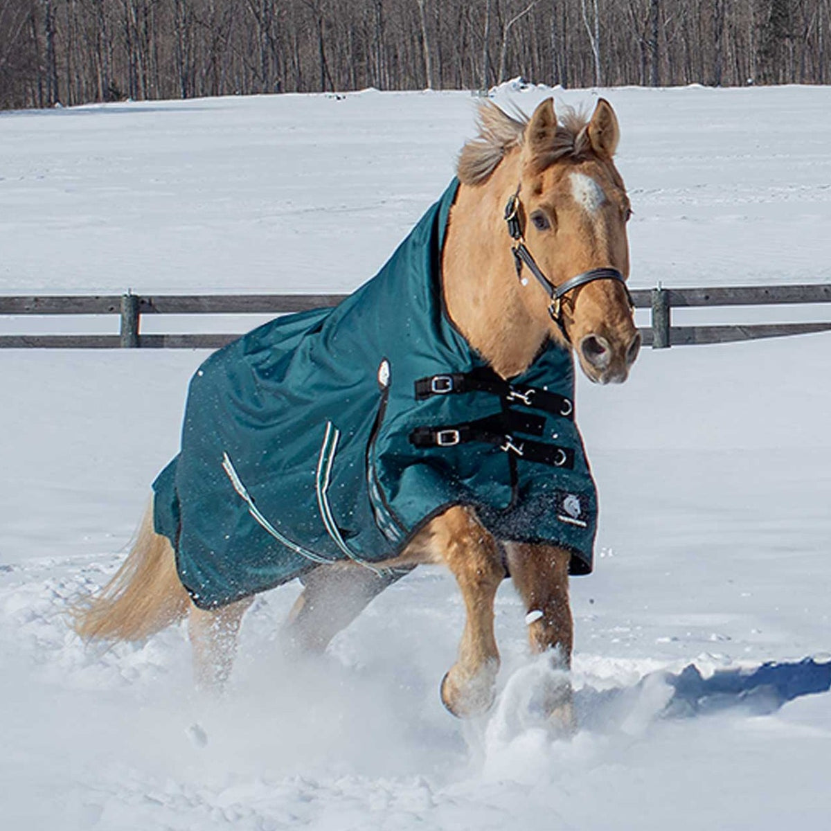 Equinavia Arktis Extended Neck Turnout Blanket - Deep Green