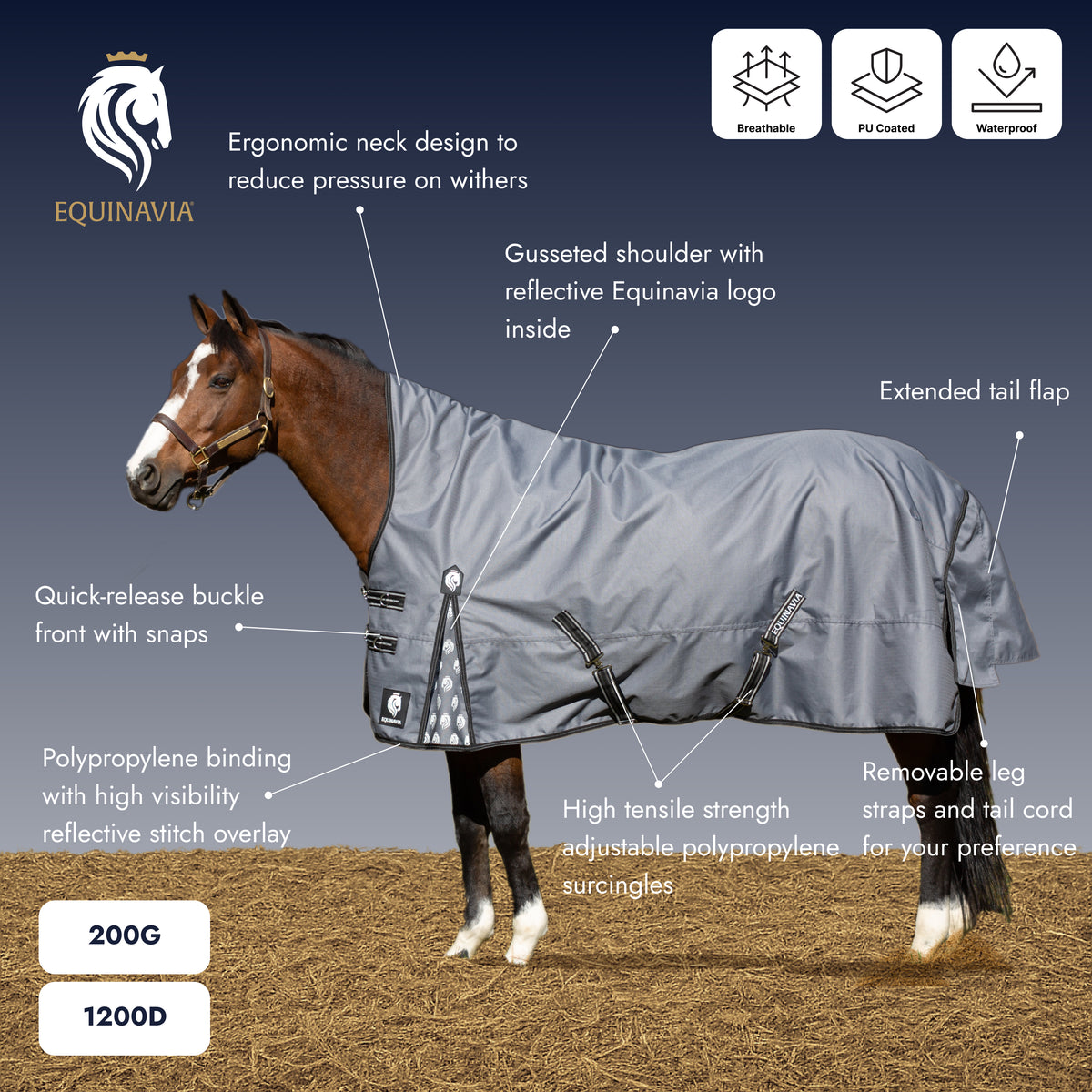 Equinavia Arktis Extended Neck Turnout Sheet - Navy