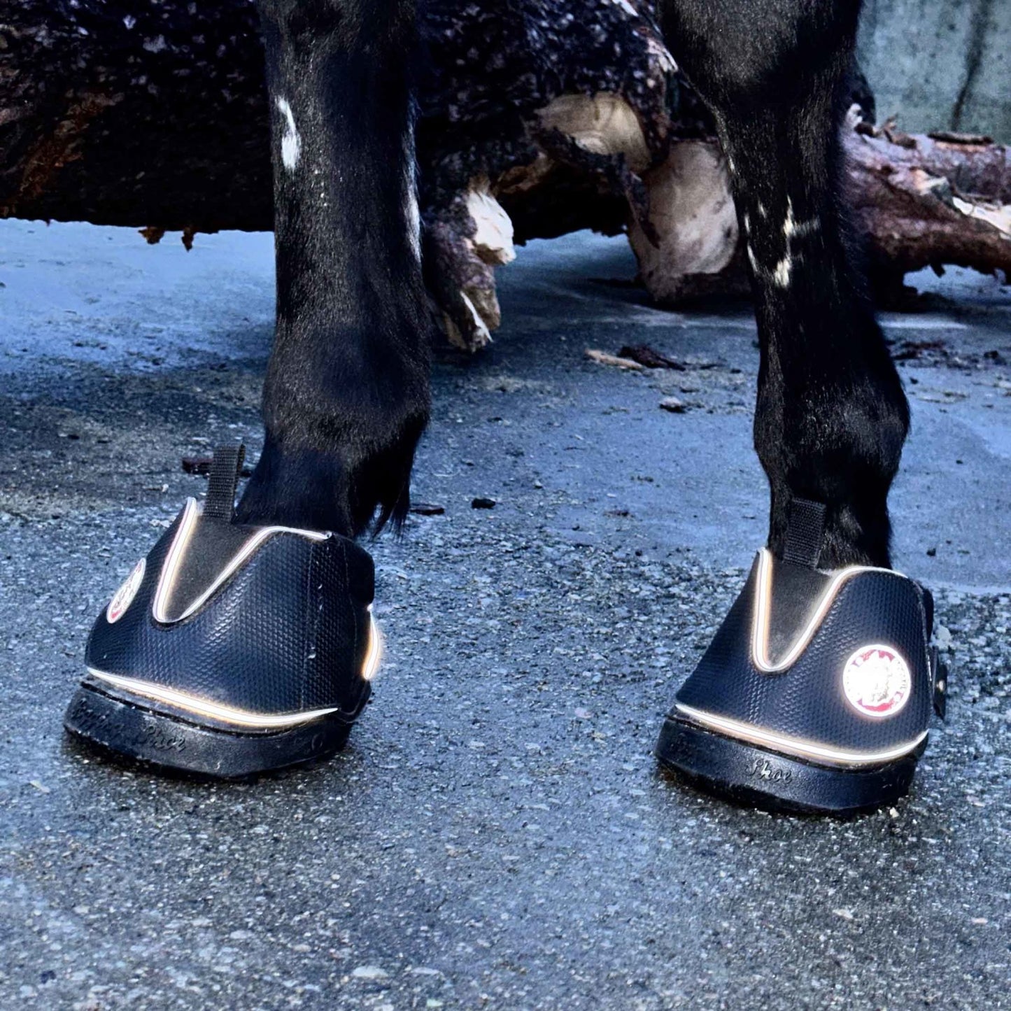 Equine Fusion Active Jogging Shoe Hoof Boot (Pair)