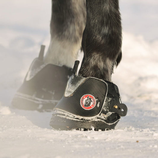 Equine Fusion Active Jogging Shoe Hoof Boot (Pair)