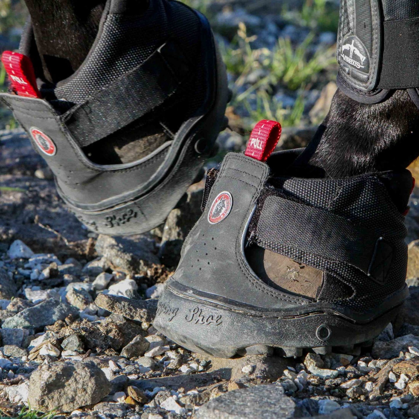Equine Fusion Trekking Jogging Shoe Hoof Boot (Single)