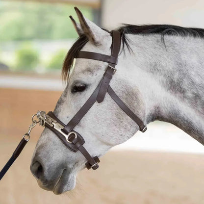 Equinavia Saga Lunge Cavesson