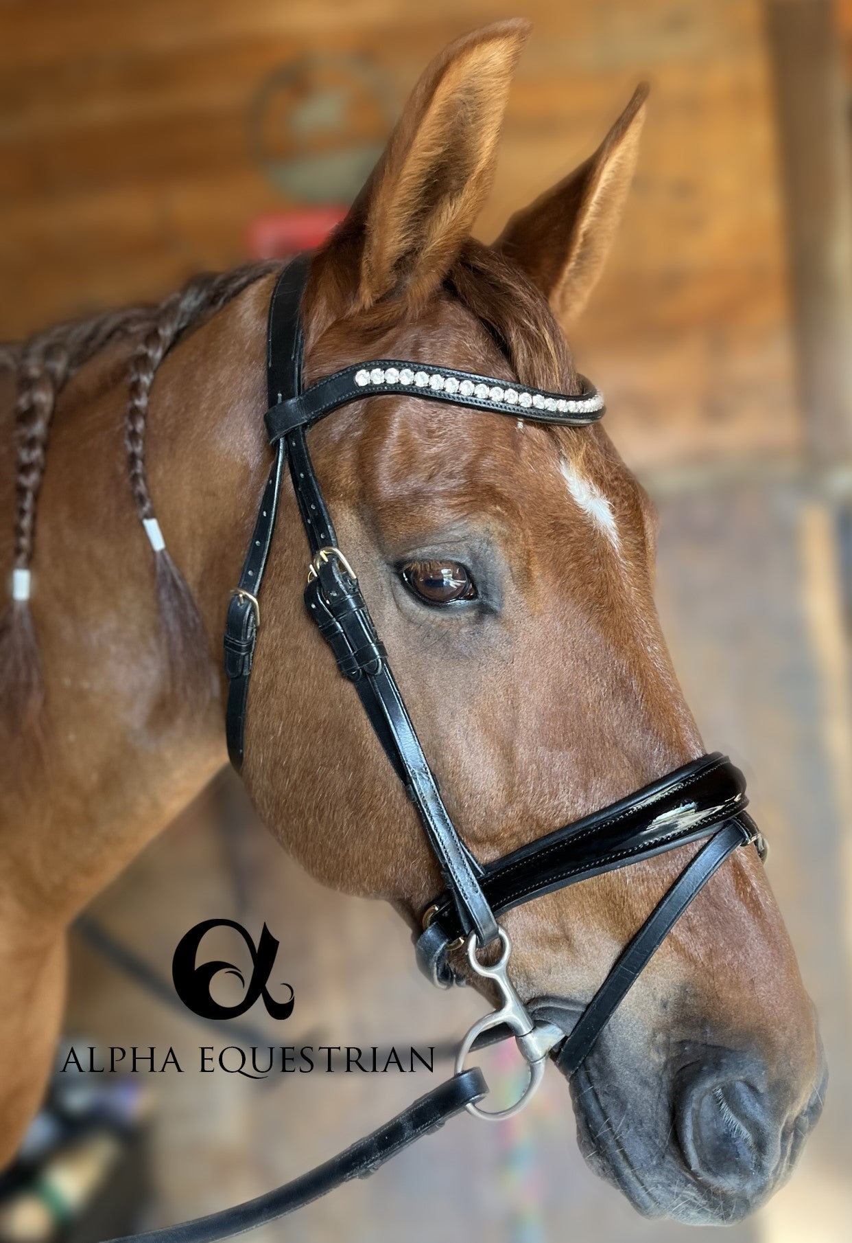 Noseband - Patent Black Snaffle w/ Flash