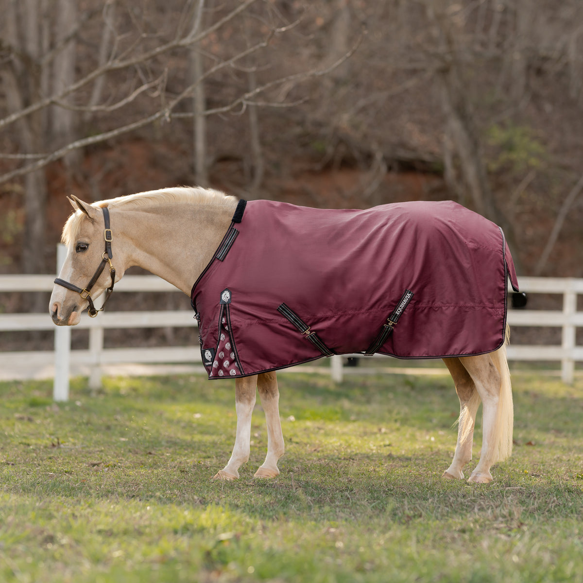 Equinavia Norse Pony Turnout Sheet