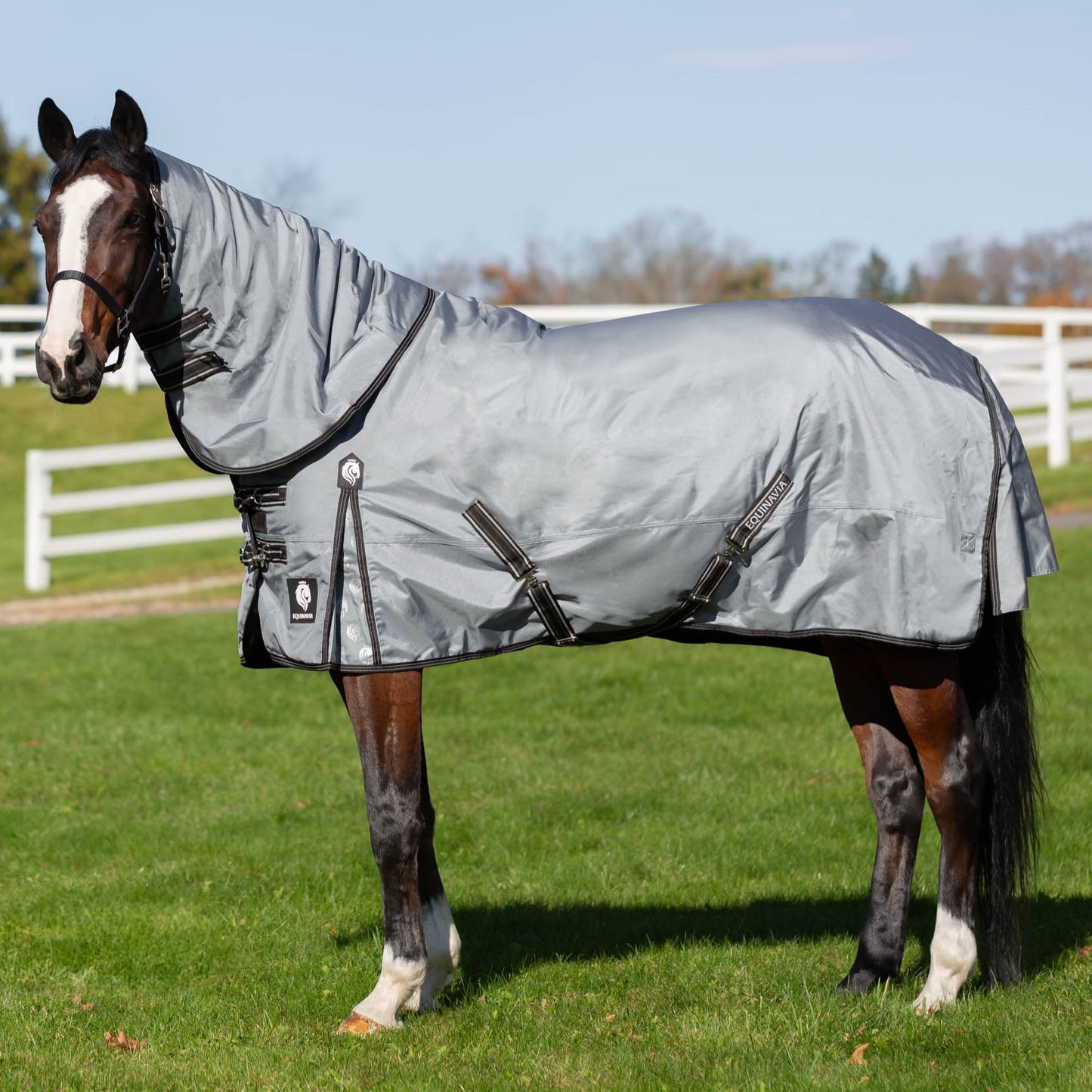 Thunder360 Detachable Neck Mid Weight Turnout Blanket