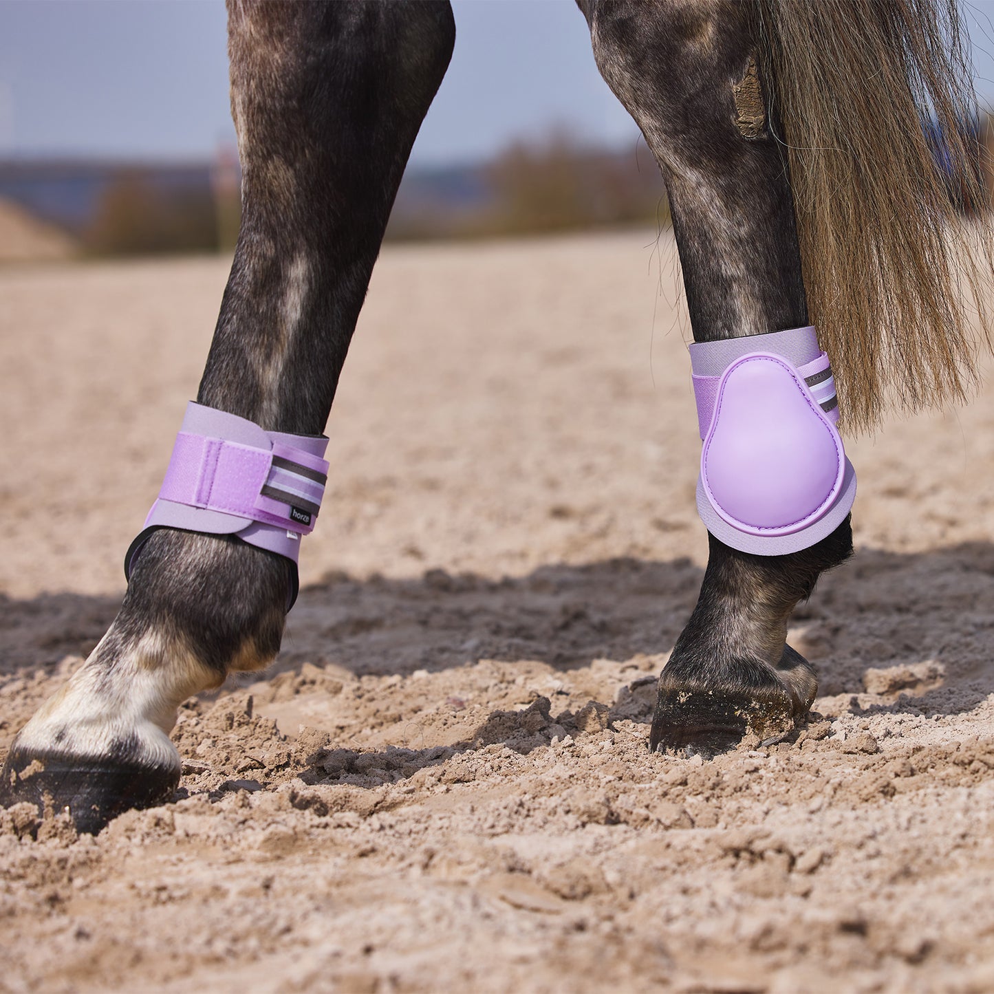 Adepto Fetlock Boots