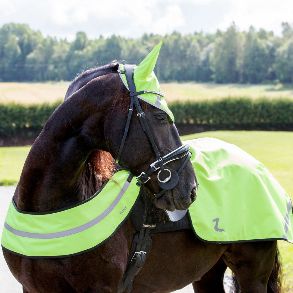 Reflective Harness