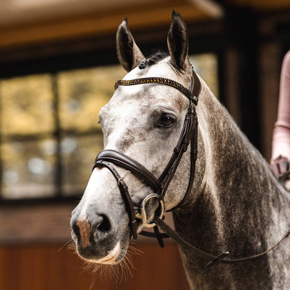 St. Moritz Curved Crystal Browband