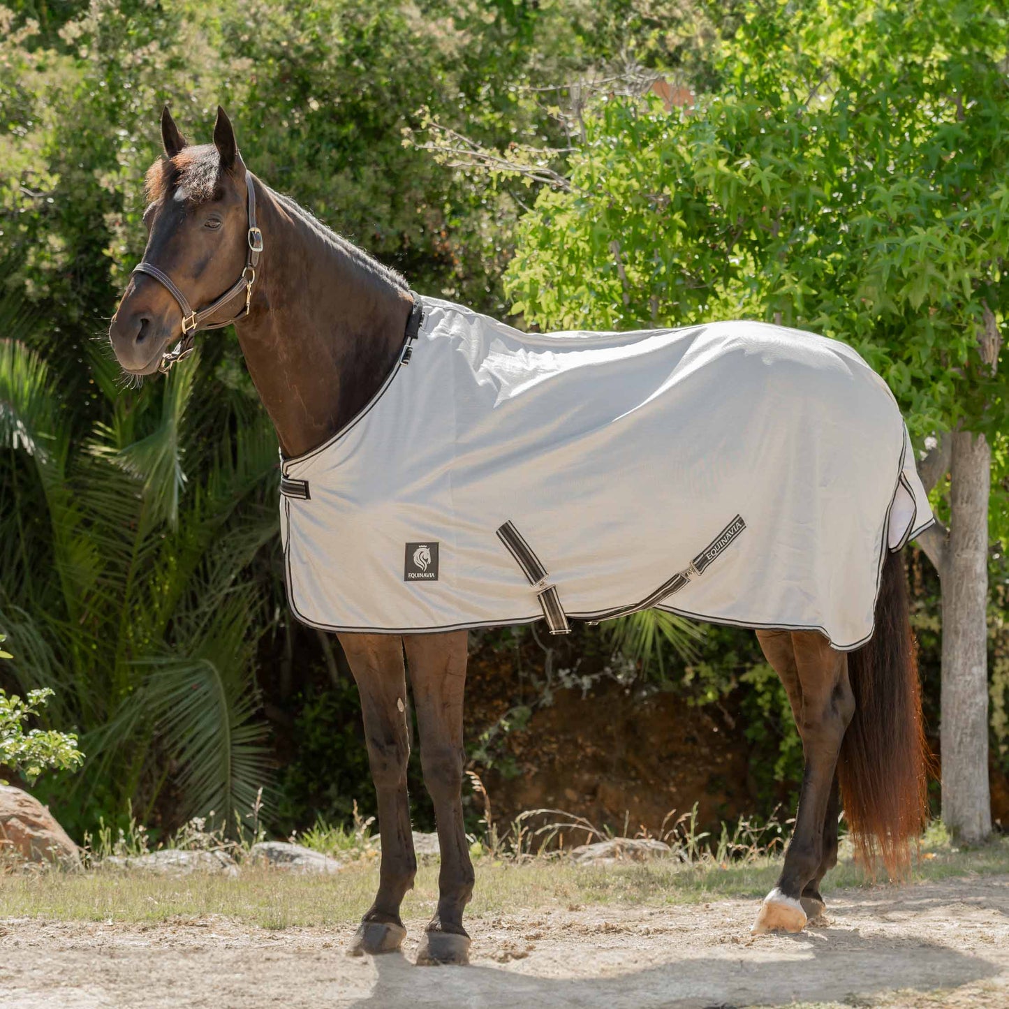 Brisk Fly Sheet with Detachable Neck