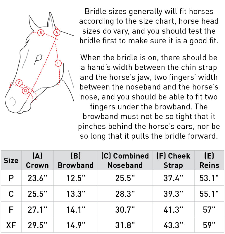 Champion Snaffle Show Bridle