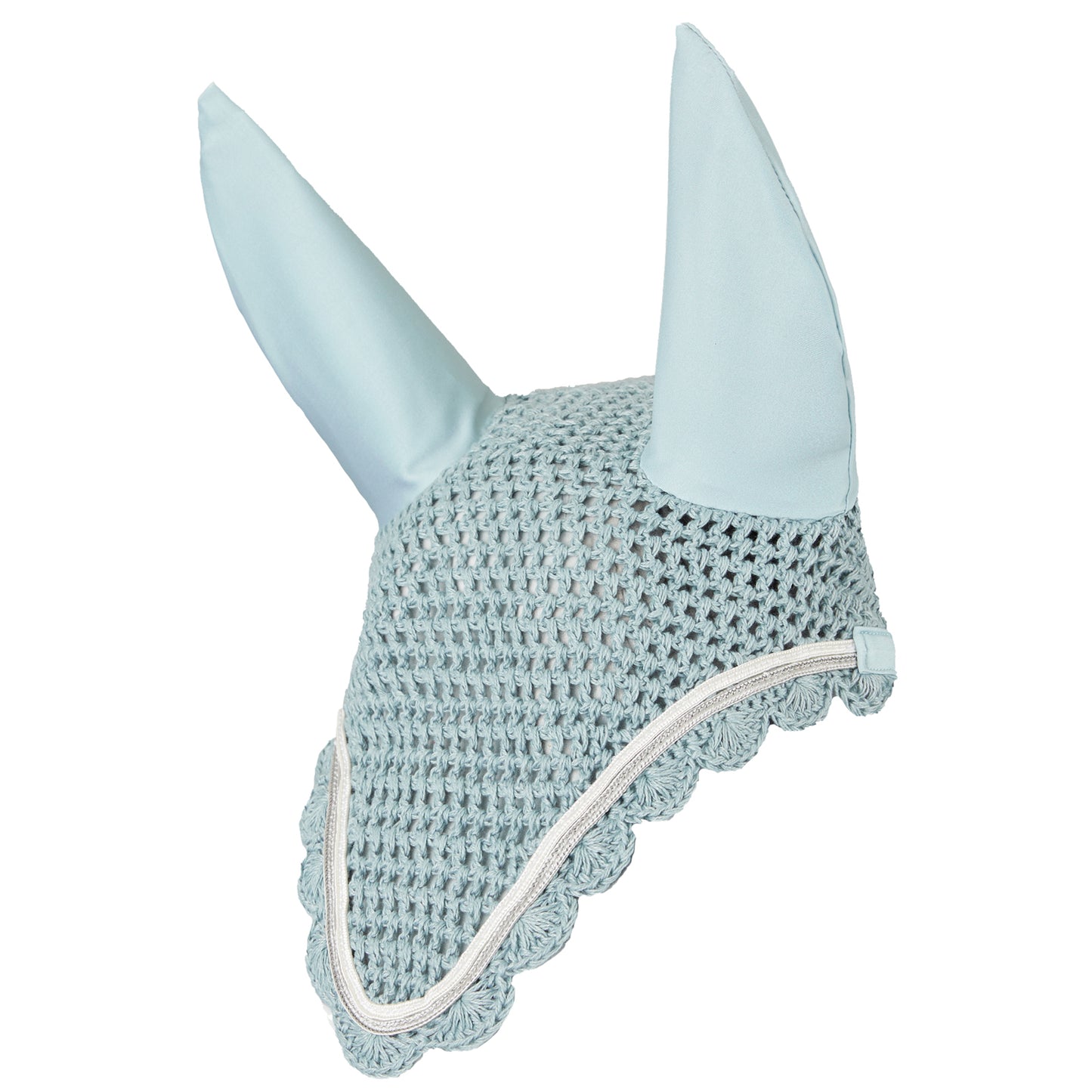 Geneva Ear Net