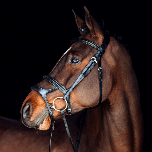 Perth Soft Lined Anatomical Bridle