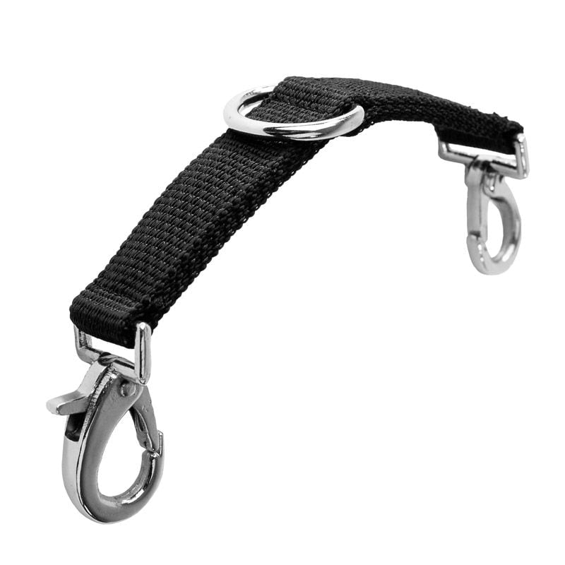 Lunging Strap