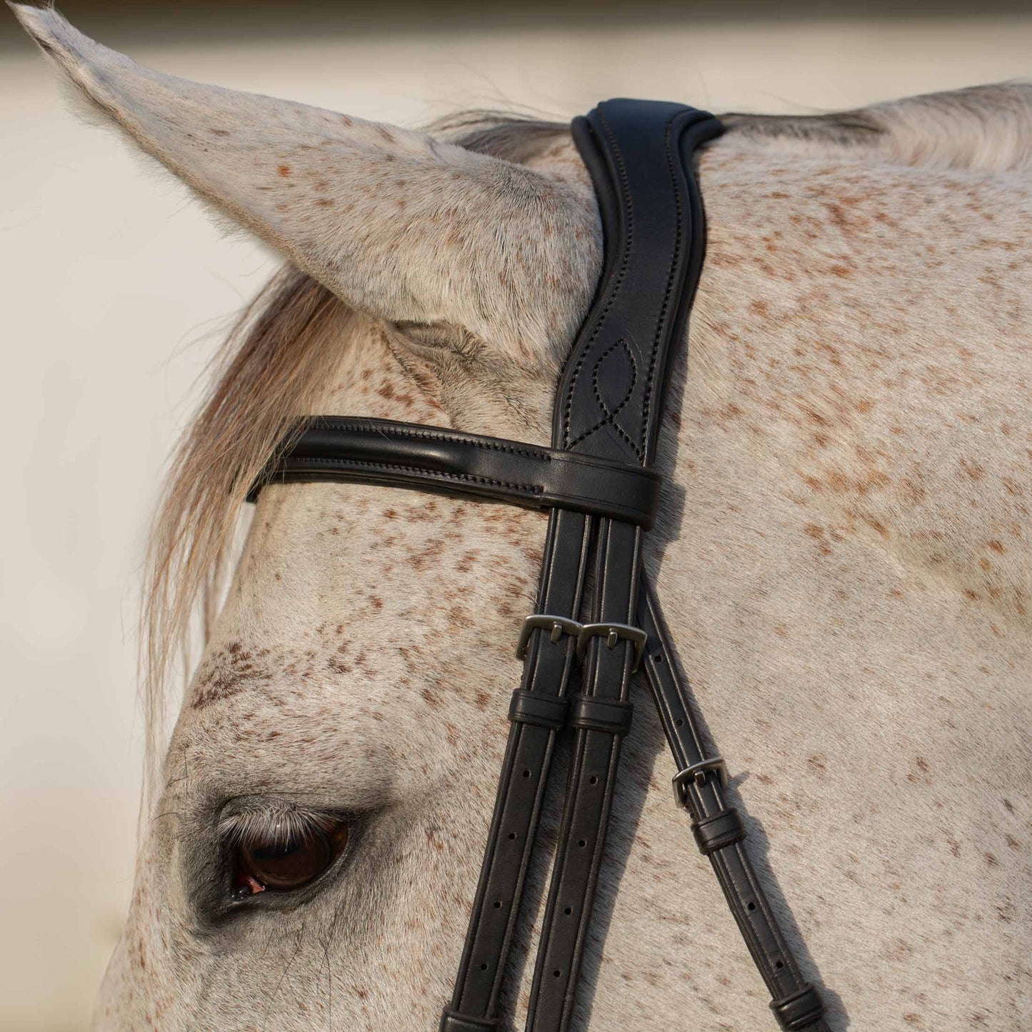 Valkyrie Alternative Flash Bridle with Rubber Reins