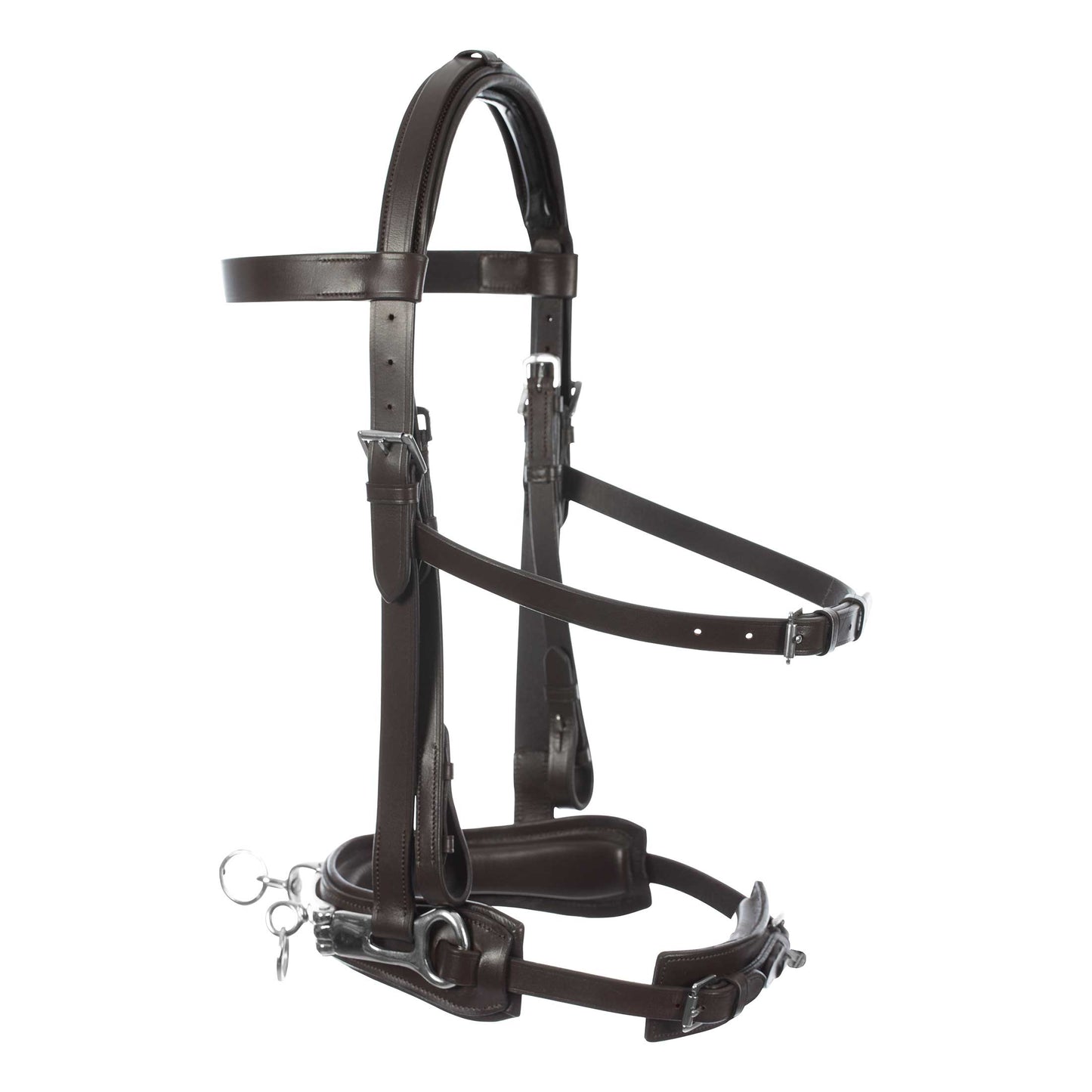 Equinavia Saga Lunge Cavesson