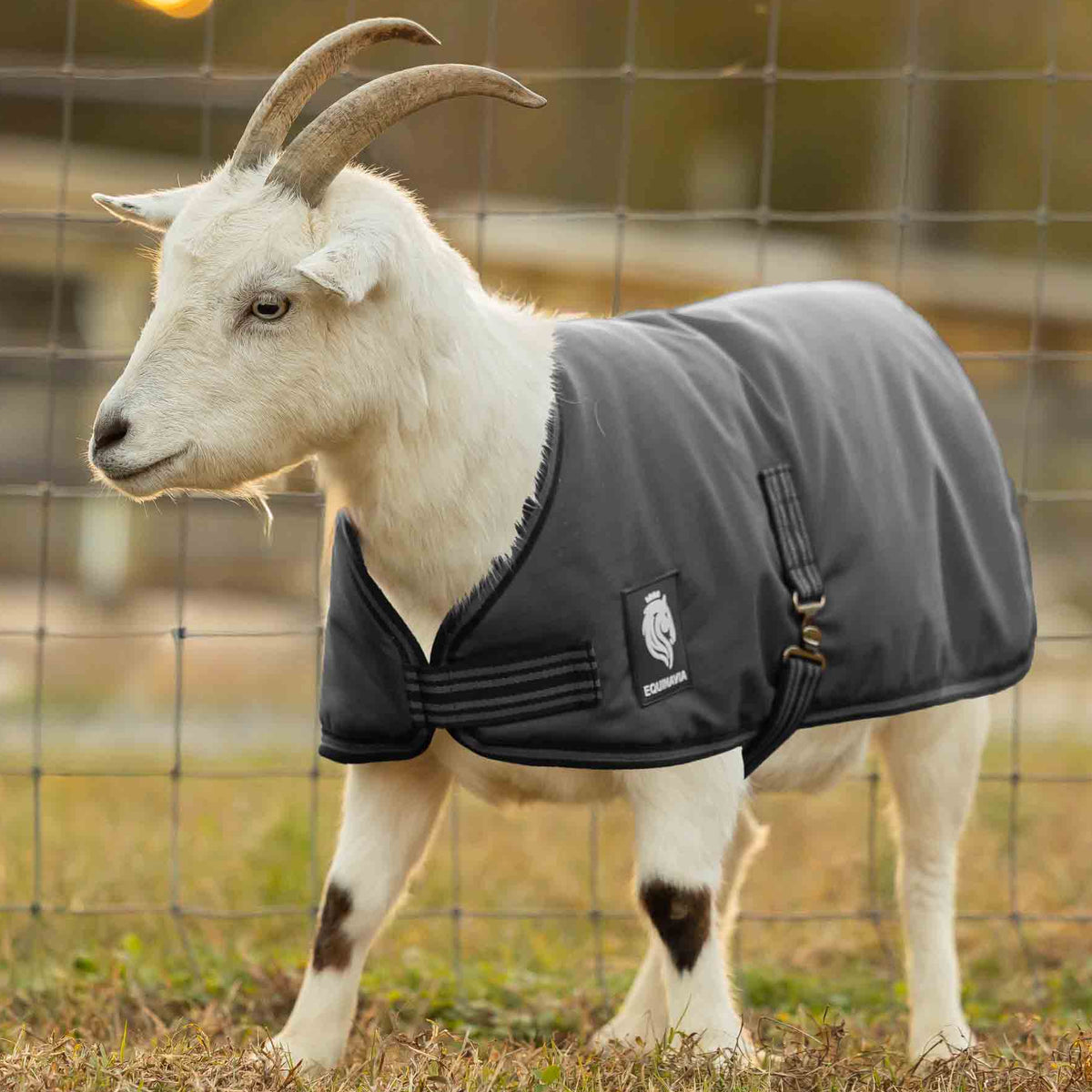 Equinavia Norse Waterproof Goat Coat 200g