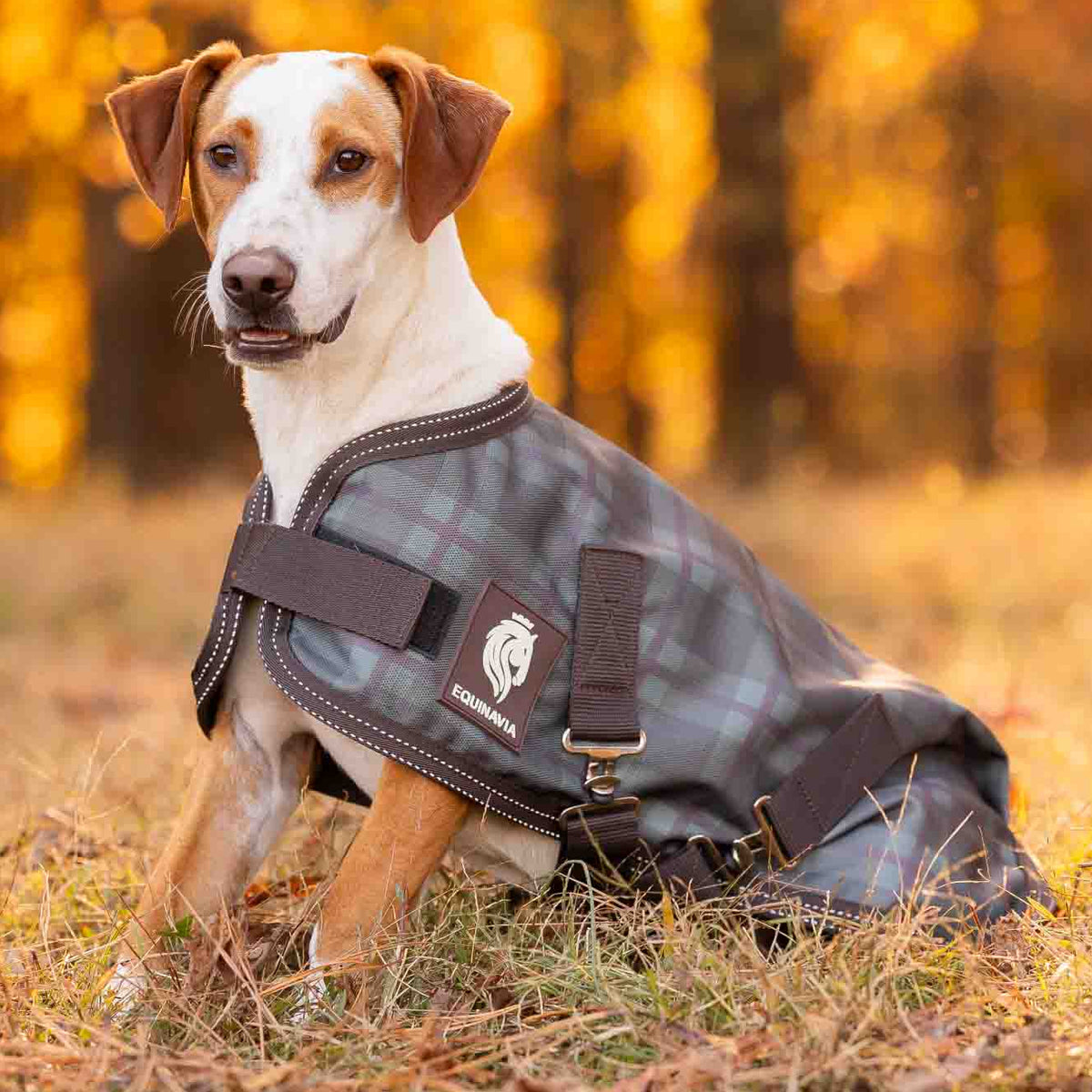 Equinavia Arktis Dog Turnout Blanket 200g