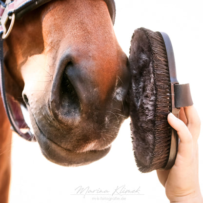 HAAS® Diva Exclusive Brush with Merino Lambswool