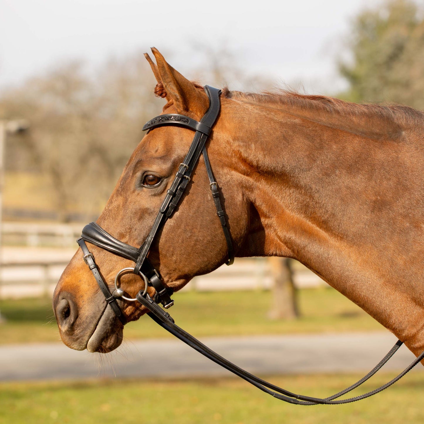 Valkyrie Anatomic Dressage Bridle with Rubber Reins