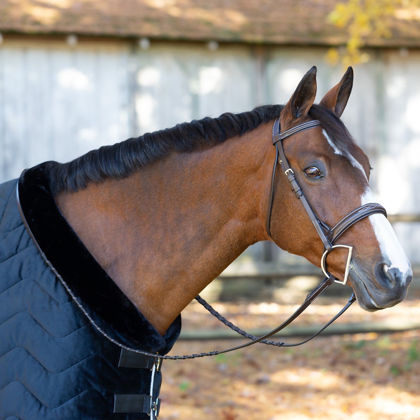 Saga Wide Noseband Hunter Bridle with Reins