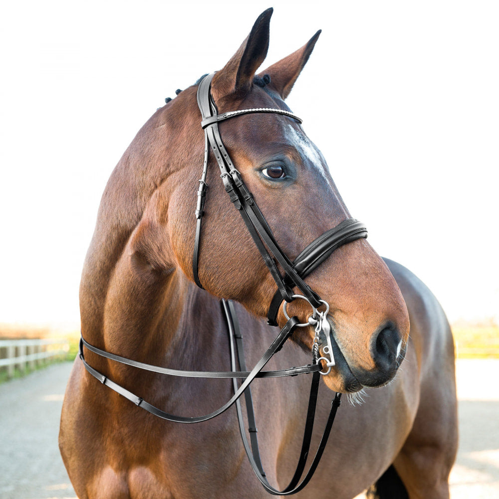 Vienna Weymouth Dressage Bridle