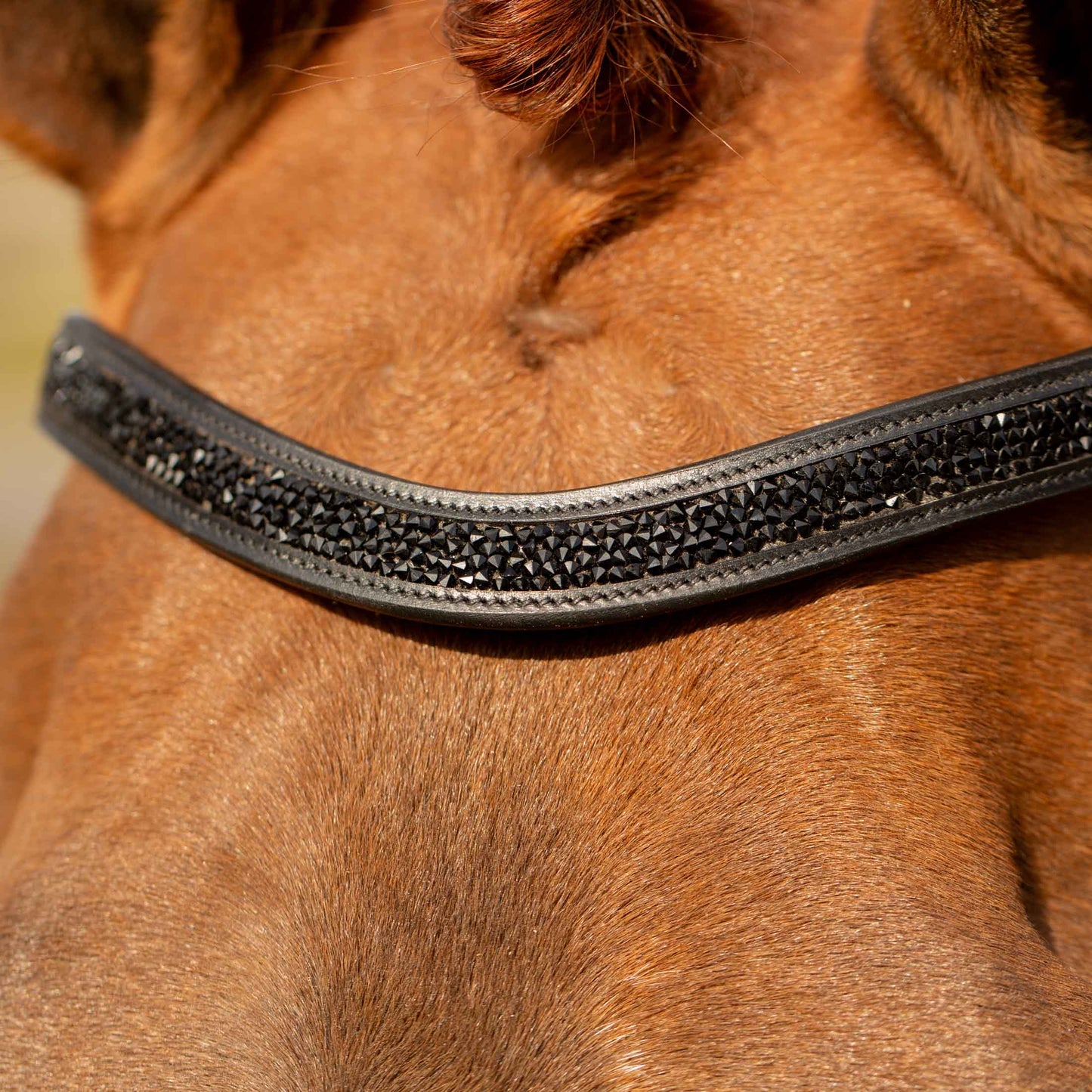 Valkyrie Anatomic Dressage Bridle with Rubber Reins