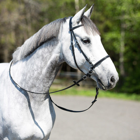 Amidale Rainbow Hackamore - Bitless Horse Bridle In Padded Black & Brown Leather
