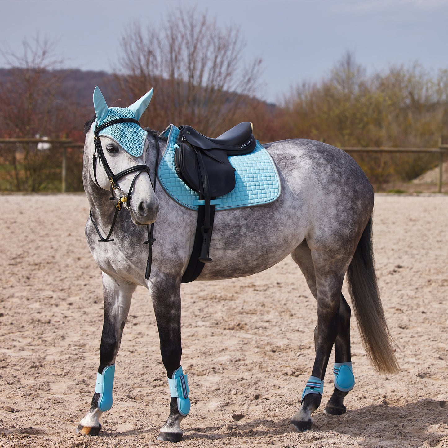 Adepto Fetlock Boots