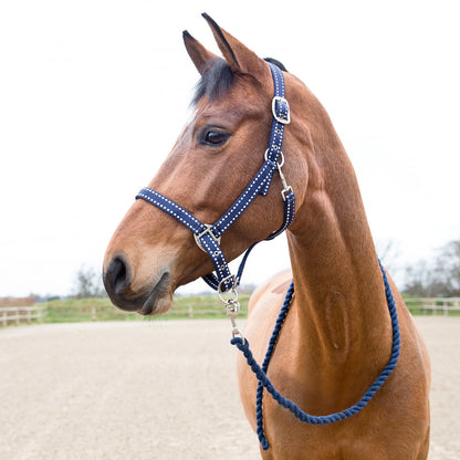 Cooper Halter with Lead Rope