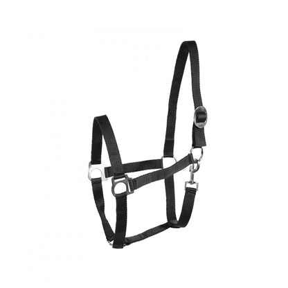 Basic Horse Halter