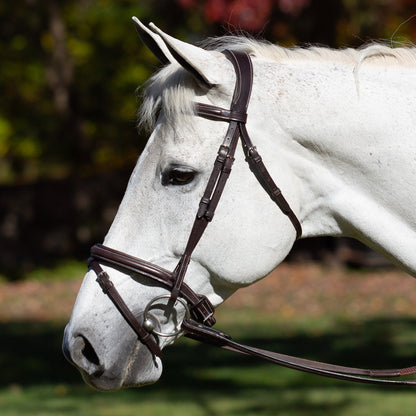 Valkyrie Flash Bridle & Rubber Reins