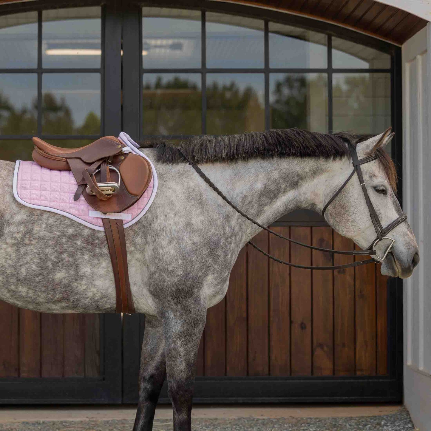Svalbard Pony Saddle Pad with NordicAir™ Tech