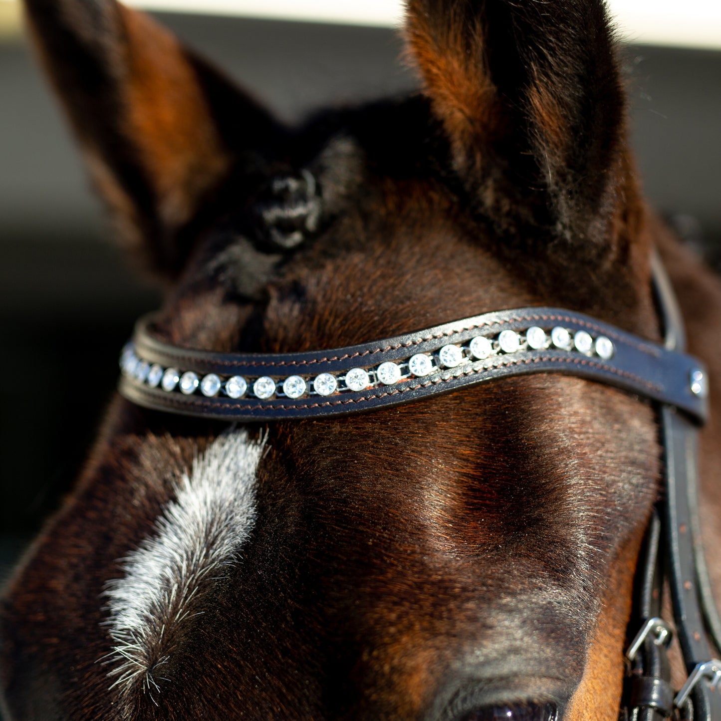 Bergen Leather Remont Bridle