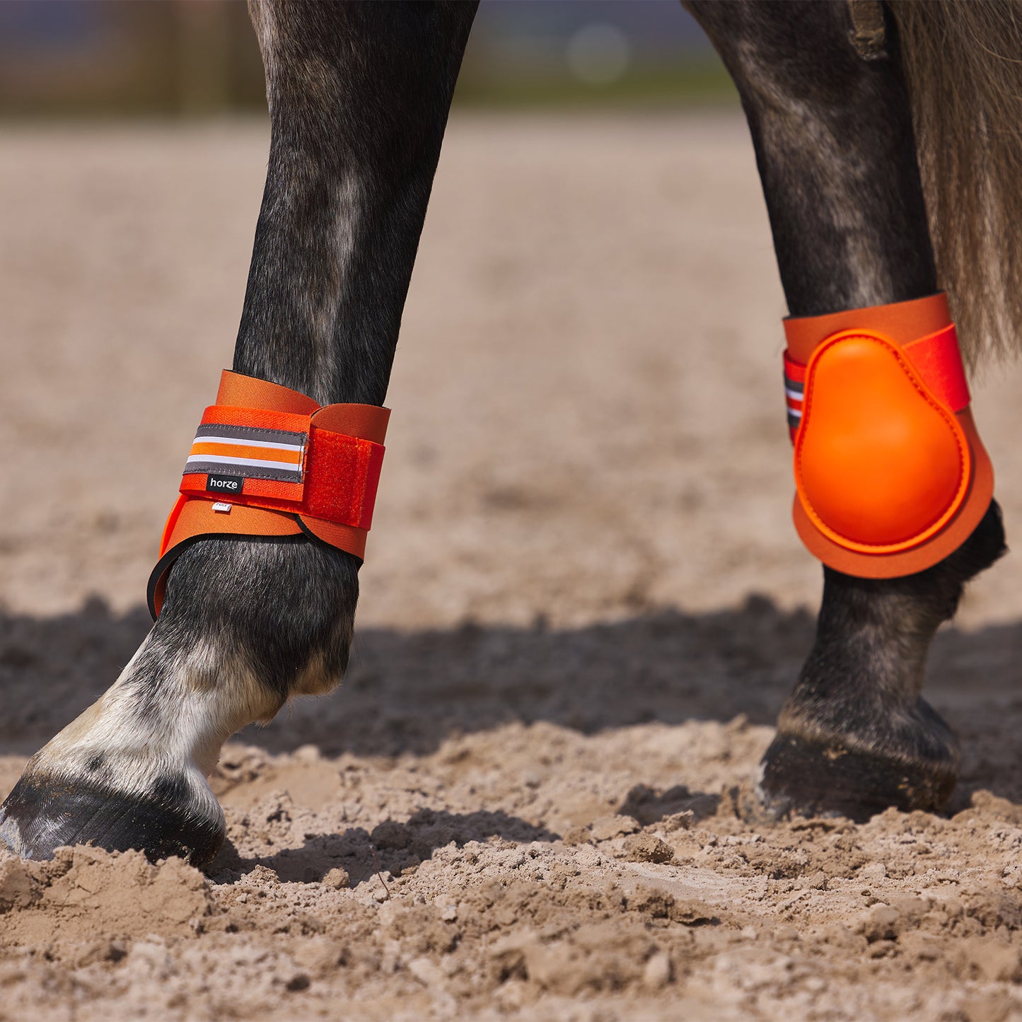 Adepto Fetlock Boots