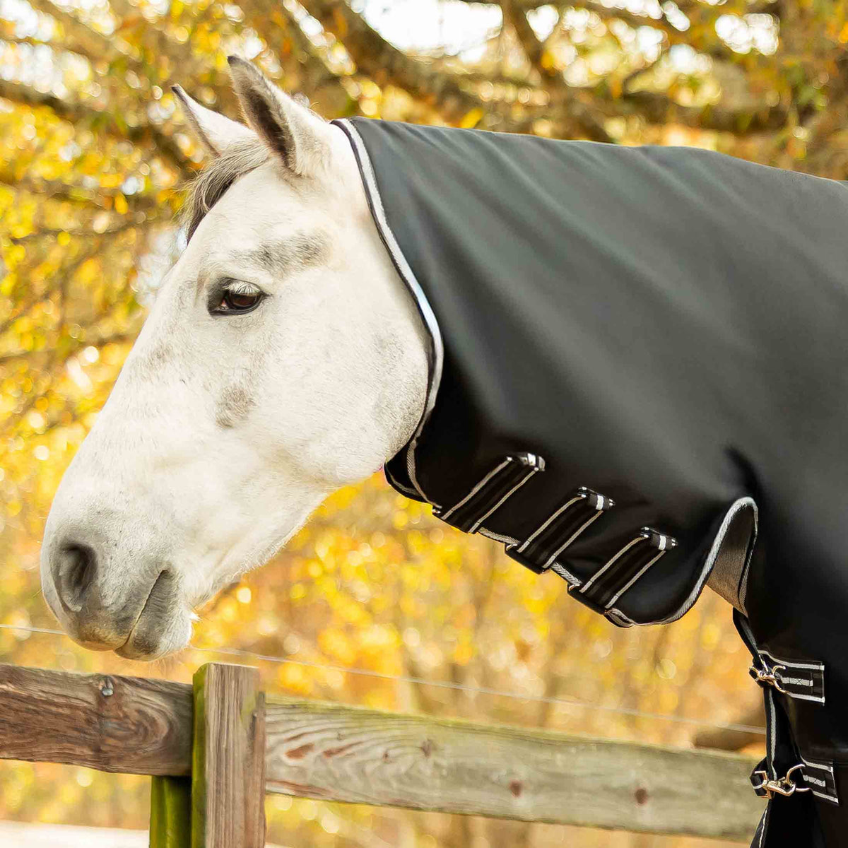 Equinavia Norse Full Neck Turnout Blanket 200g