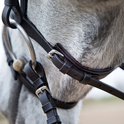 Weston Flash Bridle w/ Reins