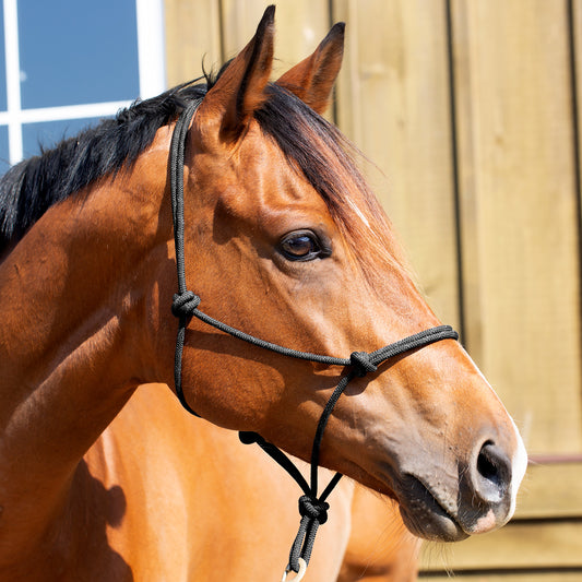 Rope Halter