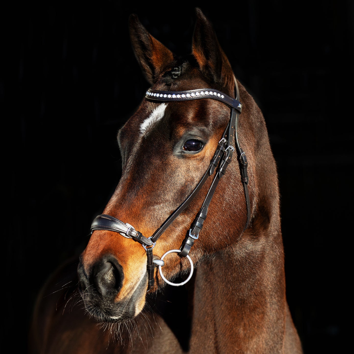 Bergen Leather Remont Bridle